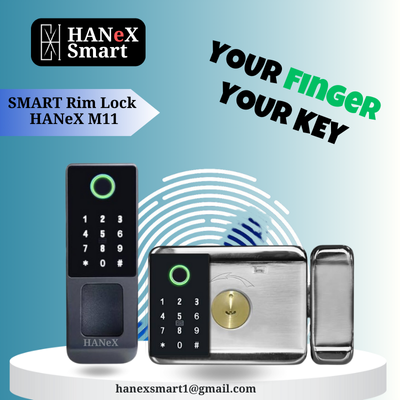 Hanex Smart Lock M11