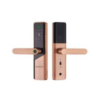 Hanex Smart Lock B4