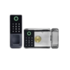 Hanex Smart Lock M11