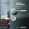 Solex Handle Lock - 4585-105 SS