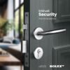 Solex Handle Lock - 4585-105 SS