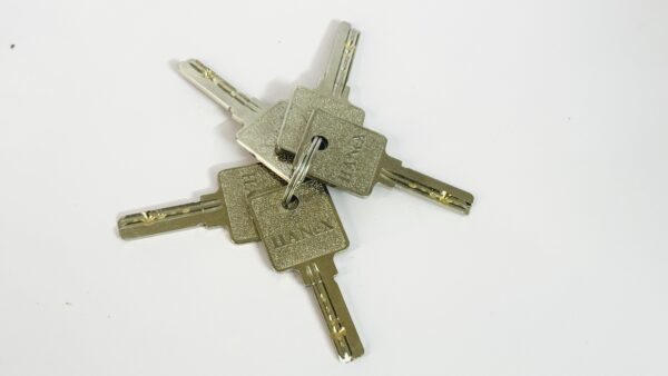 HANeX Lever Lock (3121-SS)