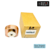 HANeX 44 ANTIQUE Floor Stopper installed on floor protecting wall from door handle impact